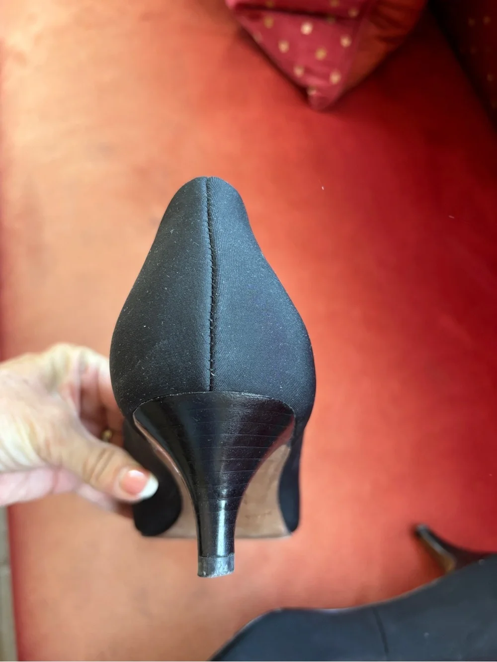 Donald J. Pliner sleek pointed